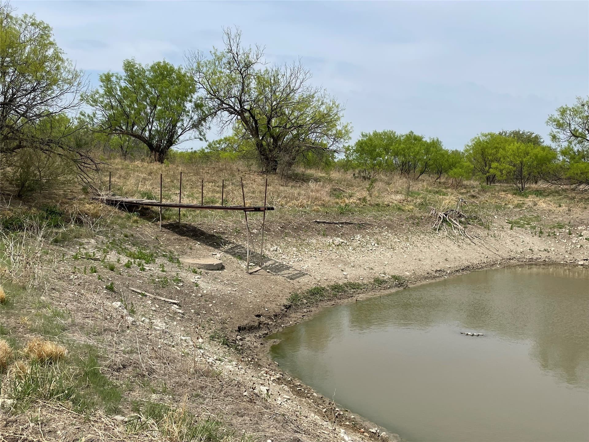 25 acres in Shackelford County - photo 6