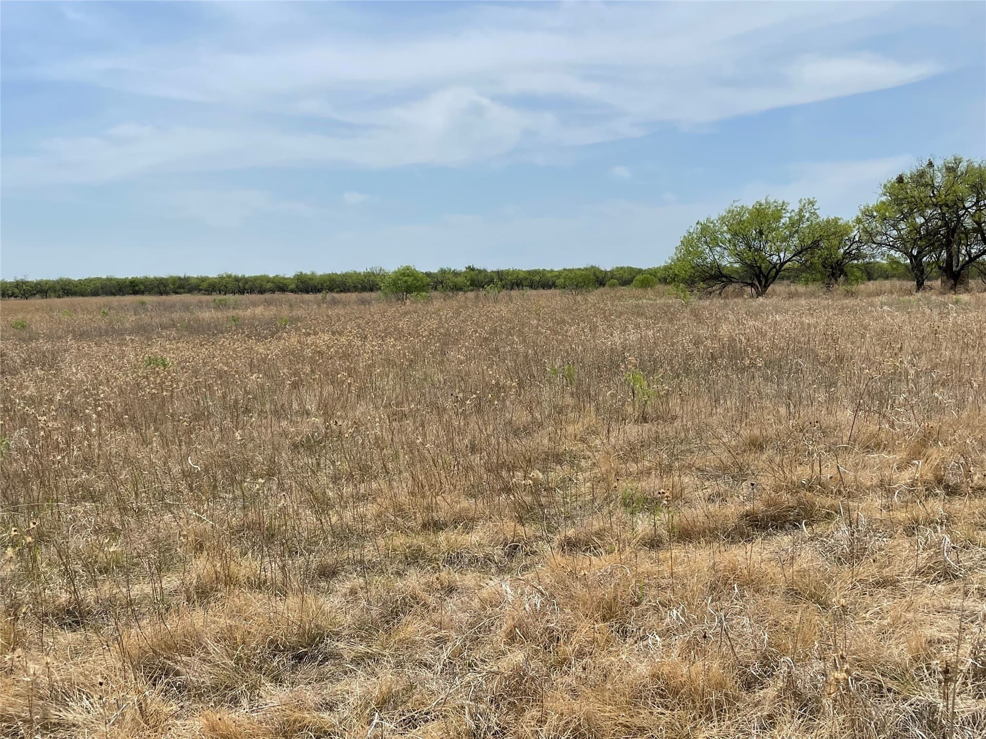 25 acres in Shackelford County - photo 11