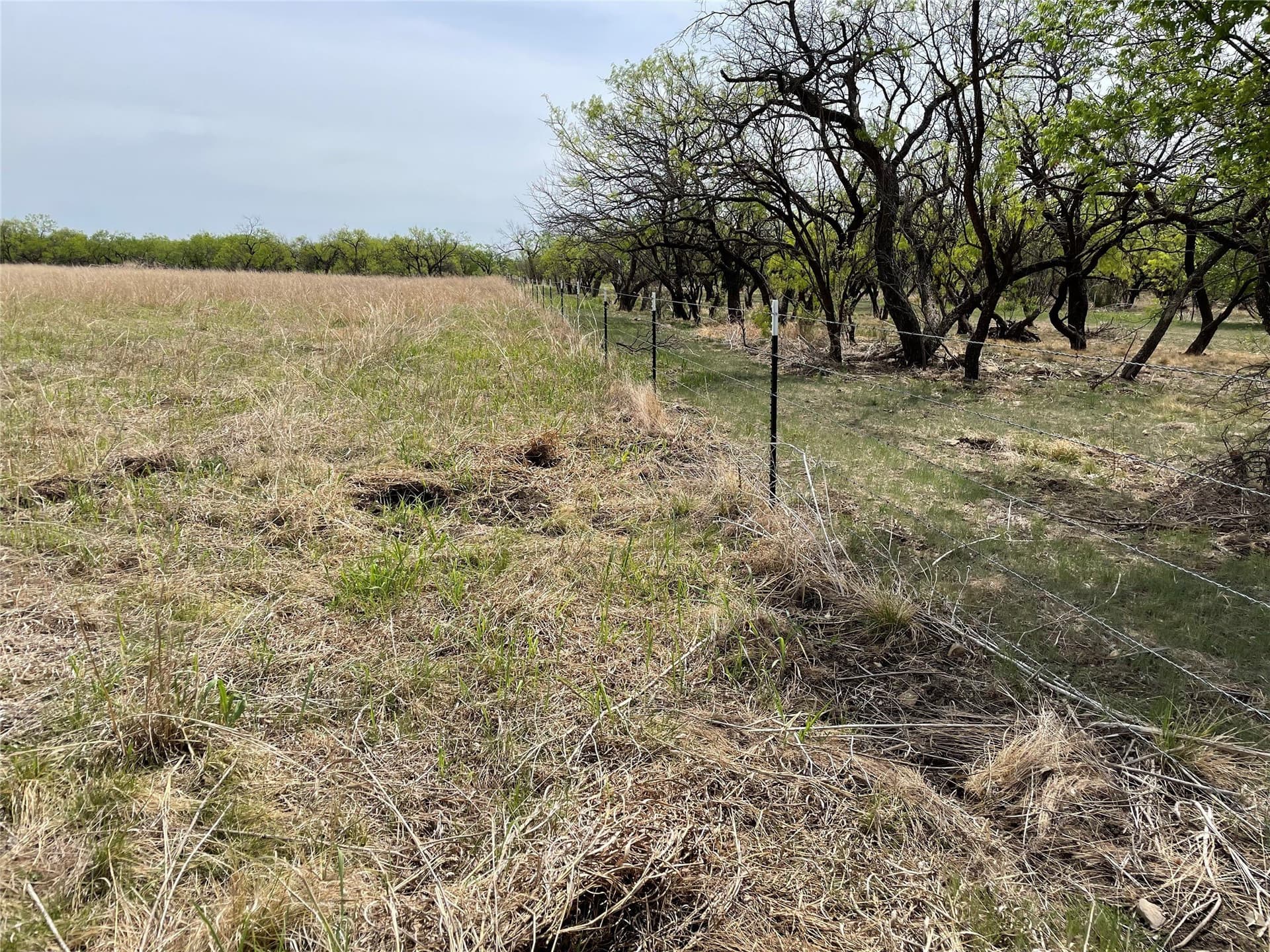 25 acres in Shackelford County - photo 9