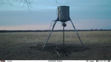 25 acres in Shackelford County - photo 34