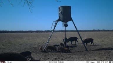 25 acres in Shackelford County - photo 33