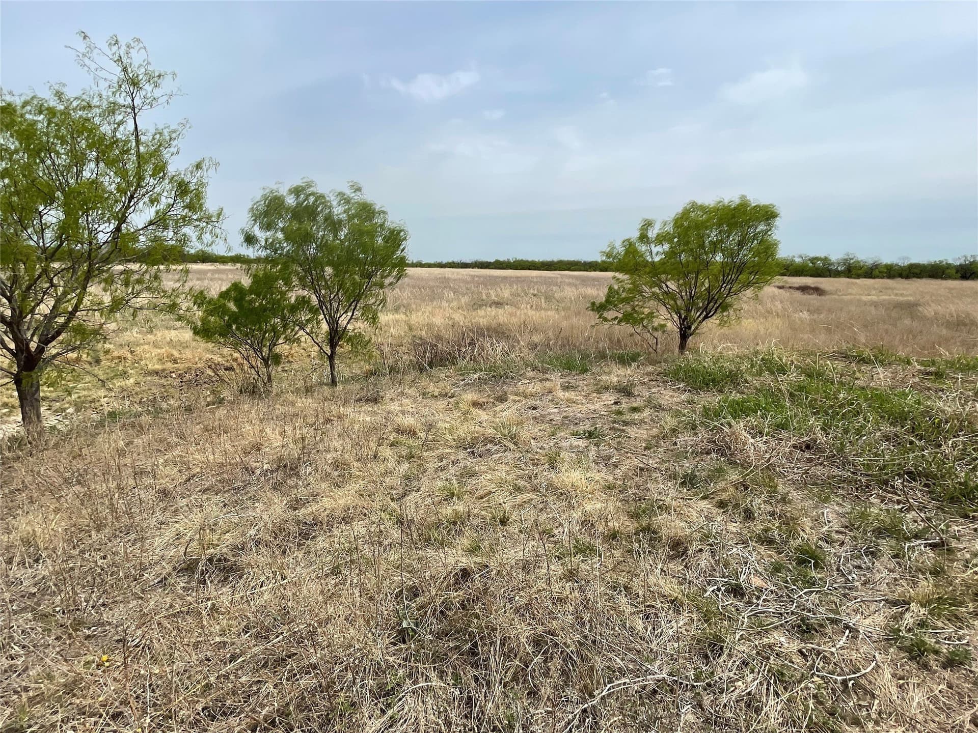 25 acres in Shackelford County - photo 8