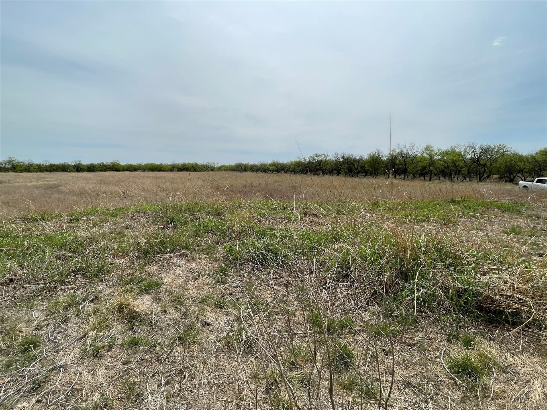 25 acres in Shackelford County - photo 4