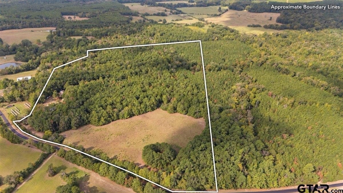 49.04 acres in Panola County - photo 5