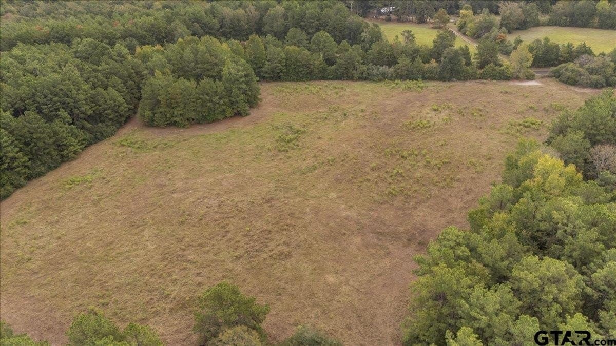 49.04 acres in Panola County - photo 42