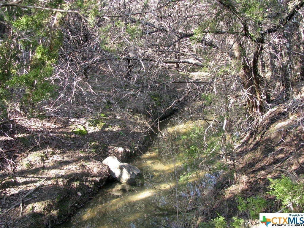 10.01 acres in Hamilton County gallery image 4