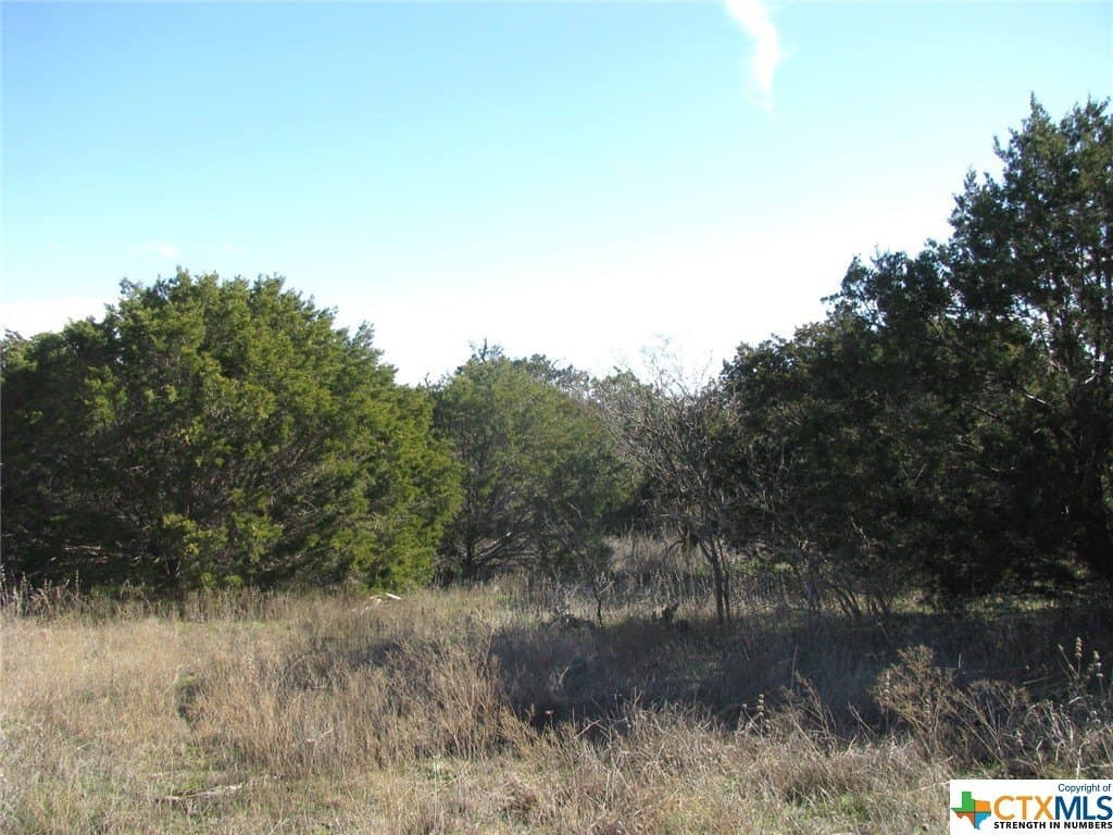 10.01 acres in Hamilton County - photo 6