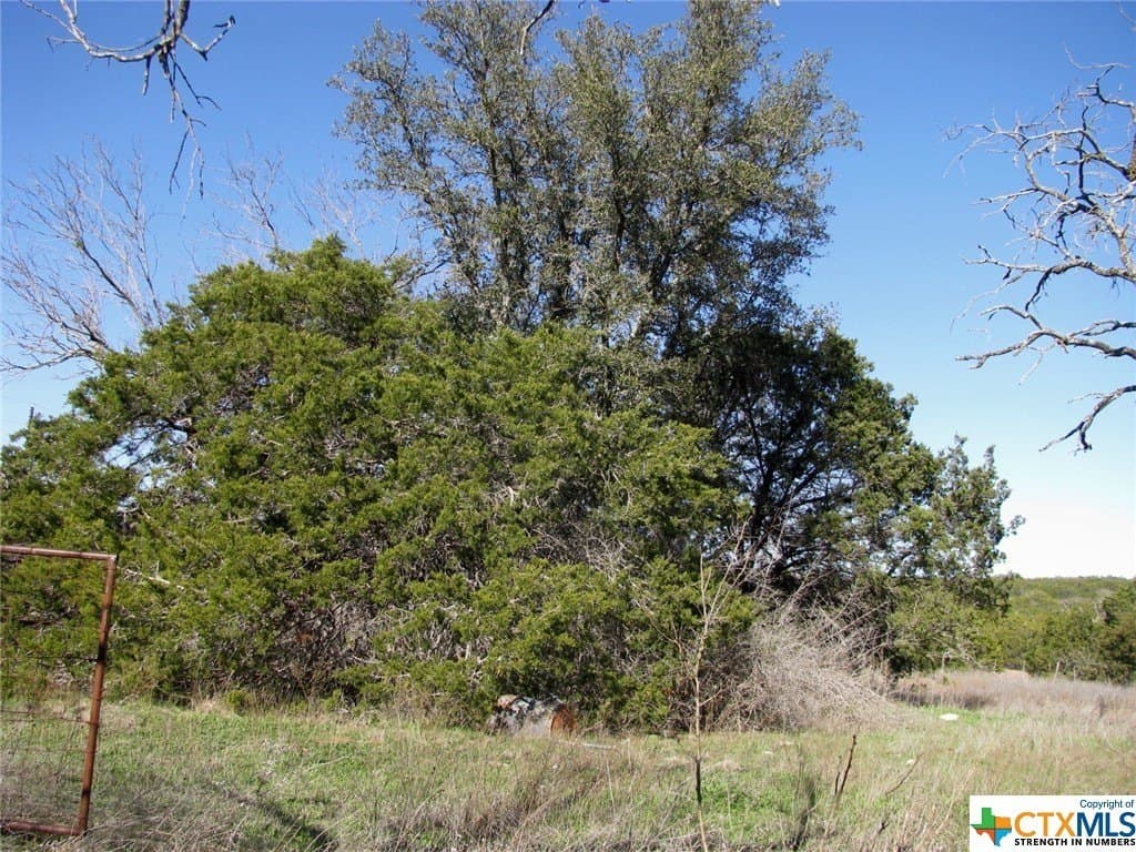 10.01 acres in Hamilton County - photo 22