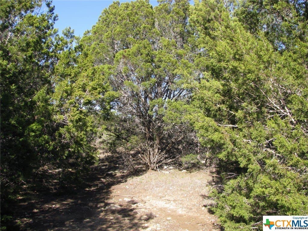 10.01 acres in Hamilton County - photo 16