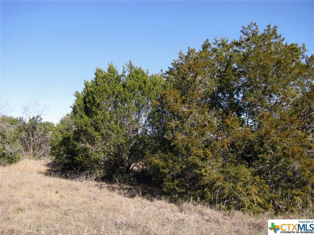 10.01 acres in Hamilton County - photo 11