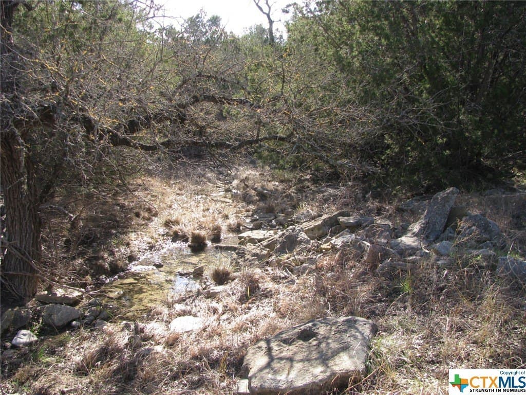 10.01 acres in Hamilton County gallery image 3