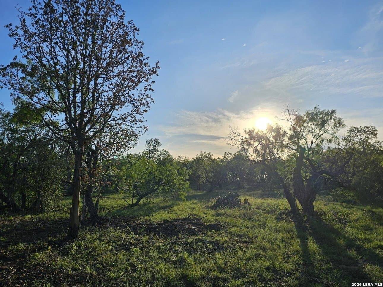 5 acres in Guadalupe County - photo 36