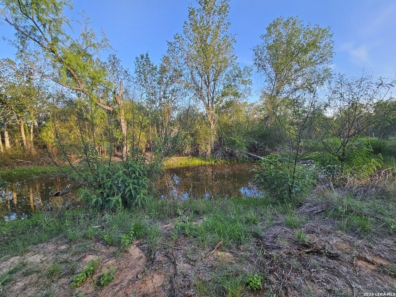 5 acres in Guadalupe County - photo 27