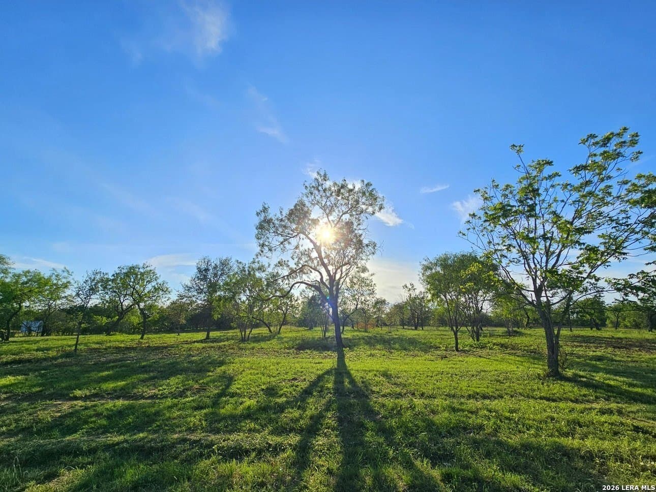 5 acres in Guadalupe County - photo 33