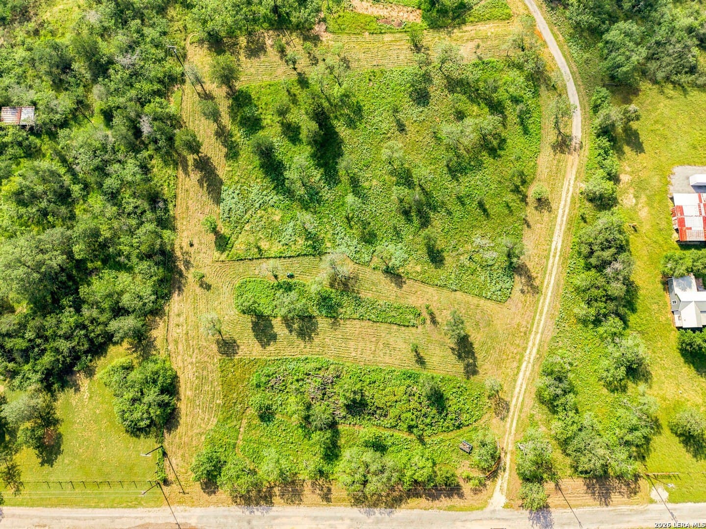 5 acres in Guadalupe County - photo 19
