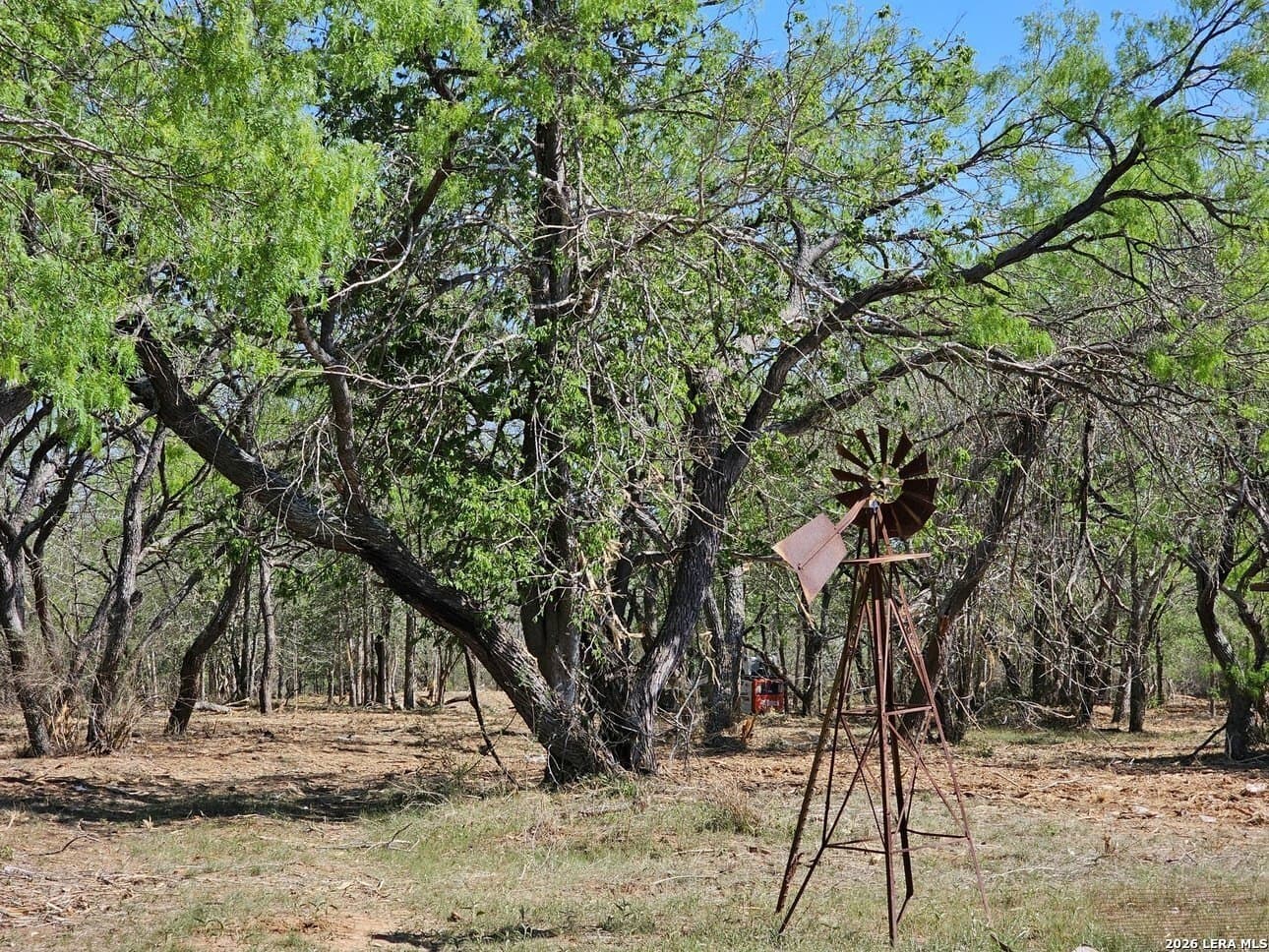 5 acres in Guadalupe County - photo 32