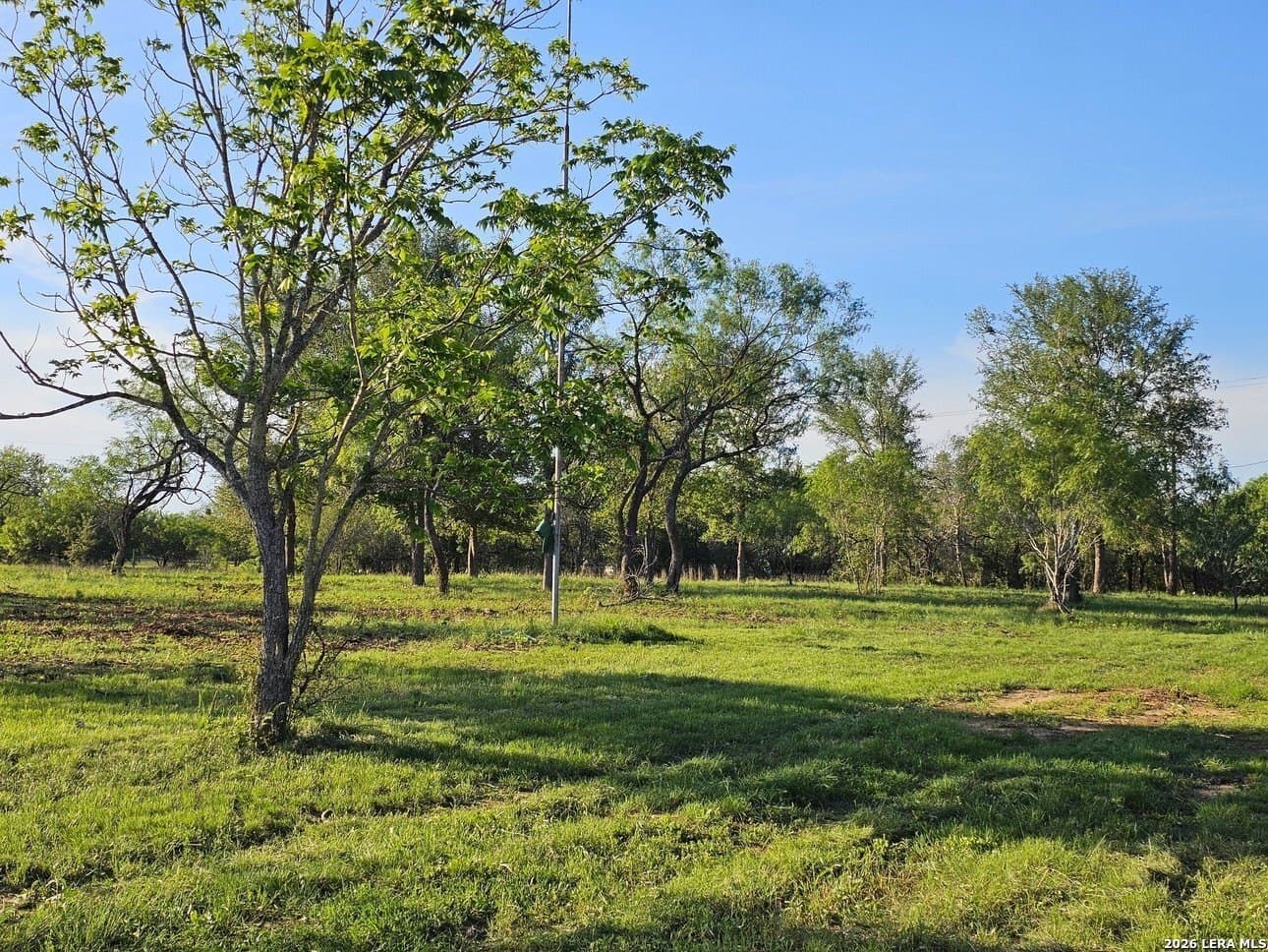 5 acres in Guadalupe County - photo 30