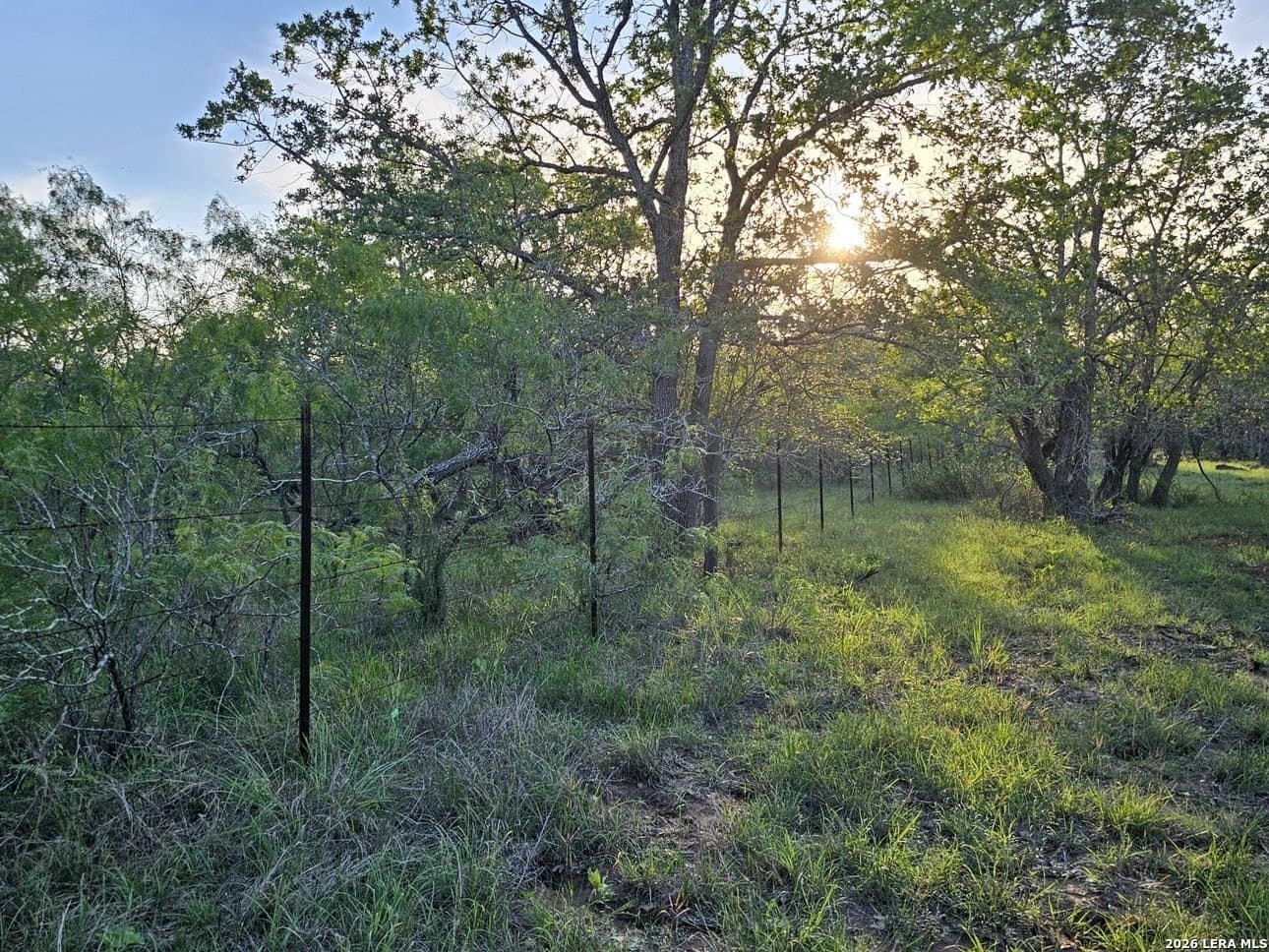 5 acres in Guadalupe County - photo 35