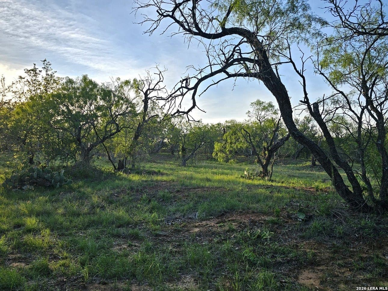 5 acres in Guadalupe County - photo 29