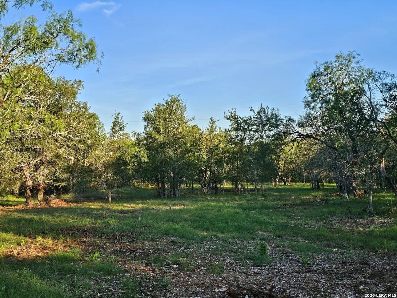 5 acres in Guadalupe County - photo 26