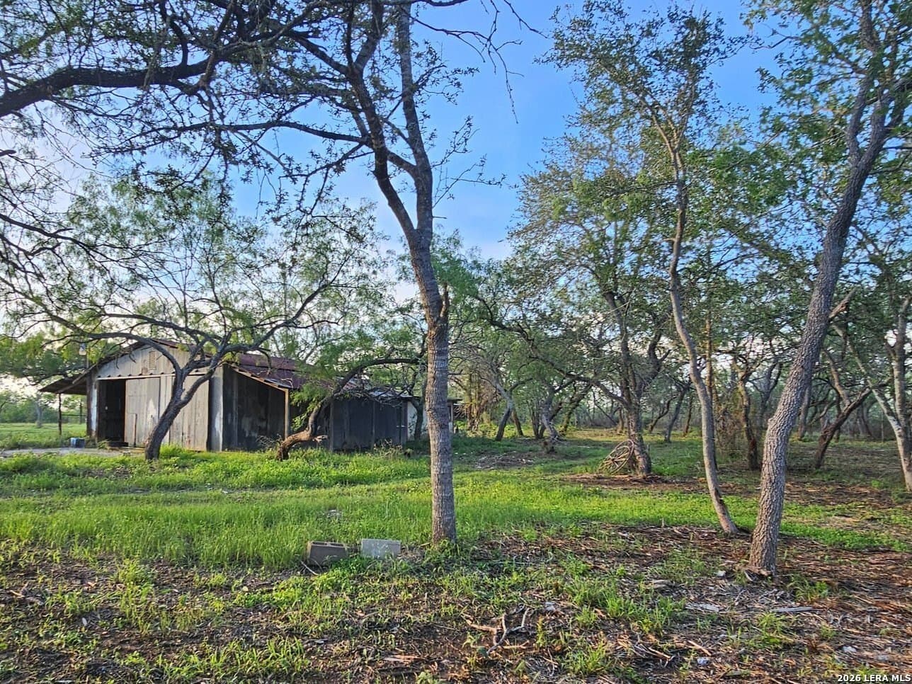 5 acres in Guadalupe County - photo 25