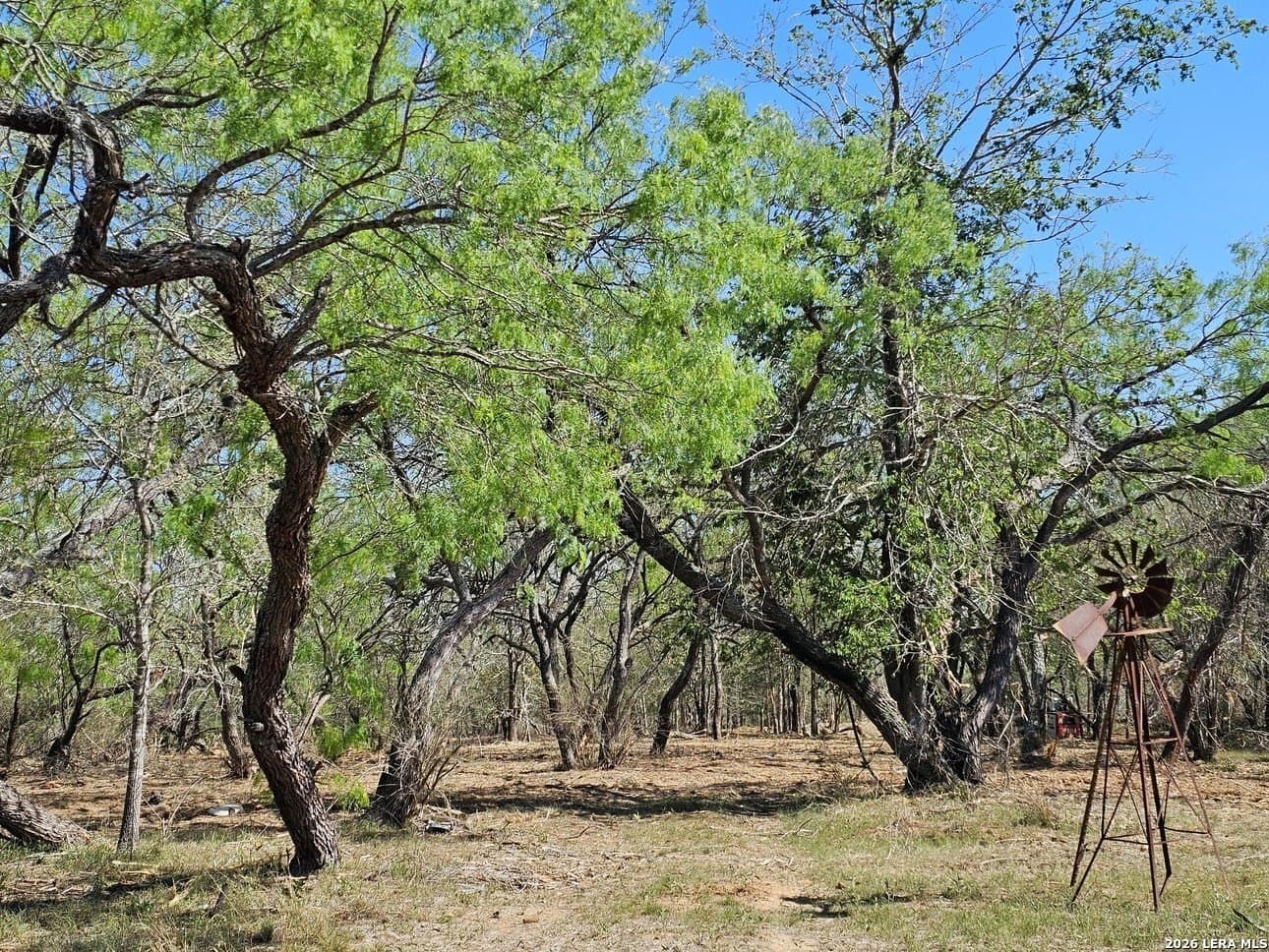 5 acres in Guadalupe County - photo 34