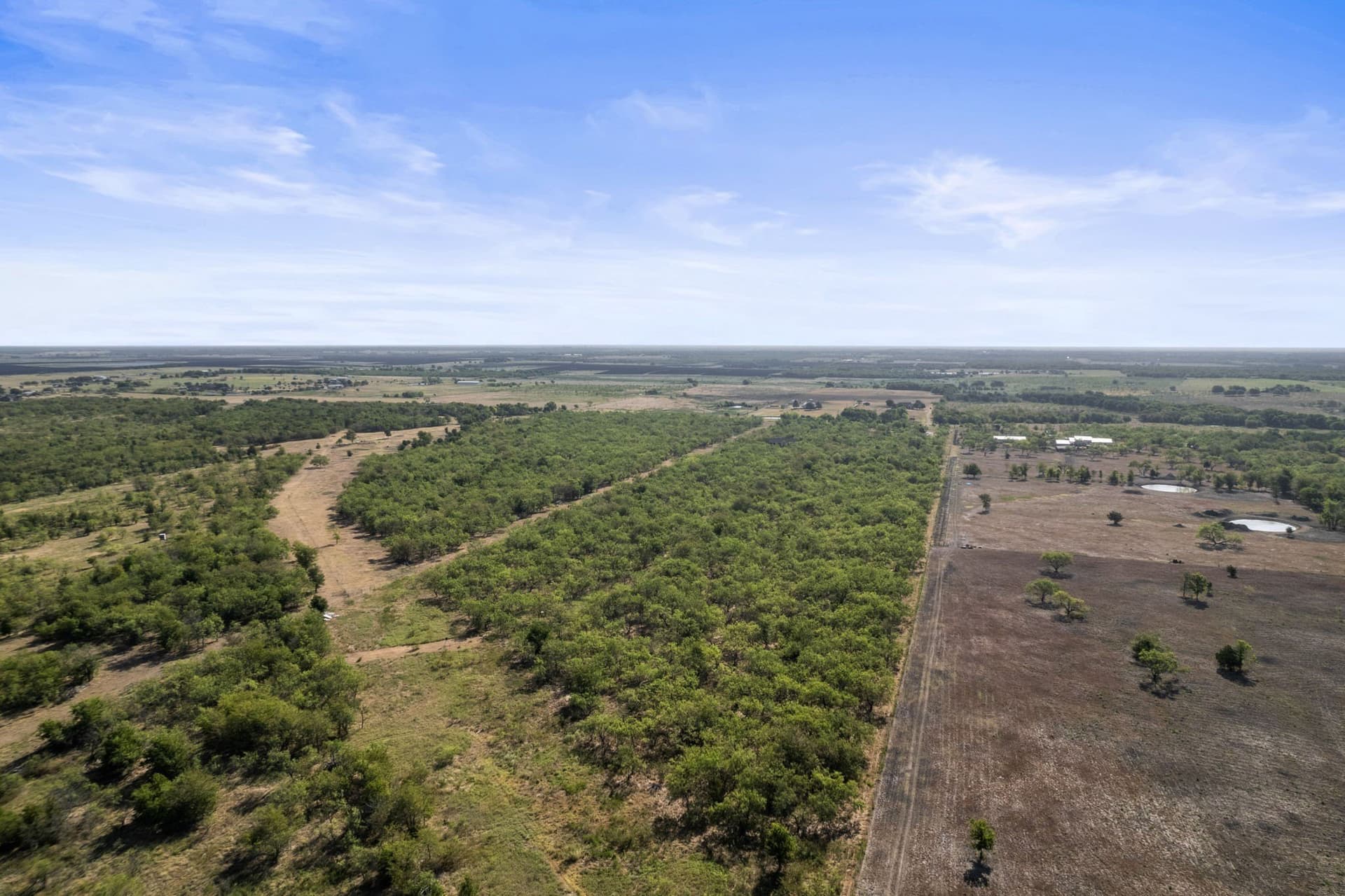 10.06 acres in Kaufman County - photo 13