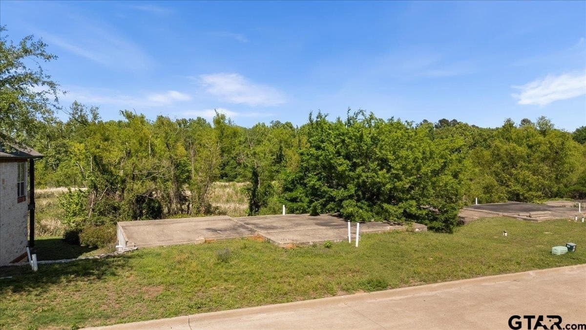 0.19 acres in Smith County - photo 17