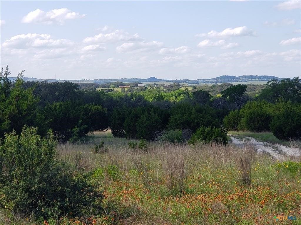 500 acres in Lampasas County gallery image 3