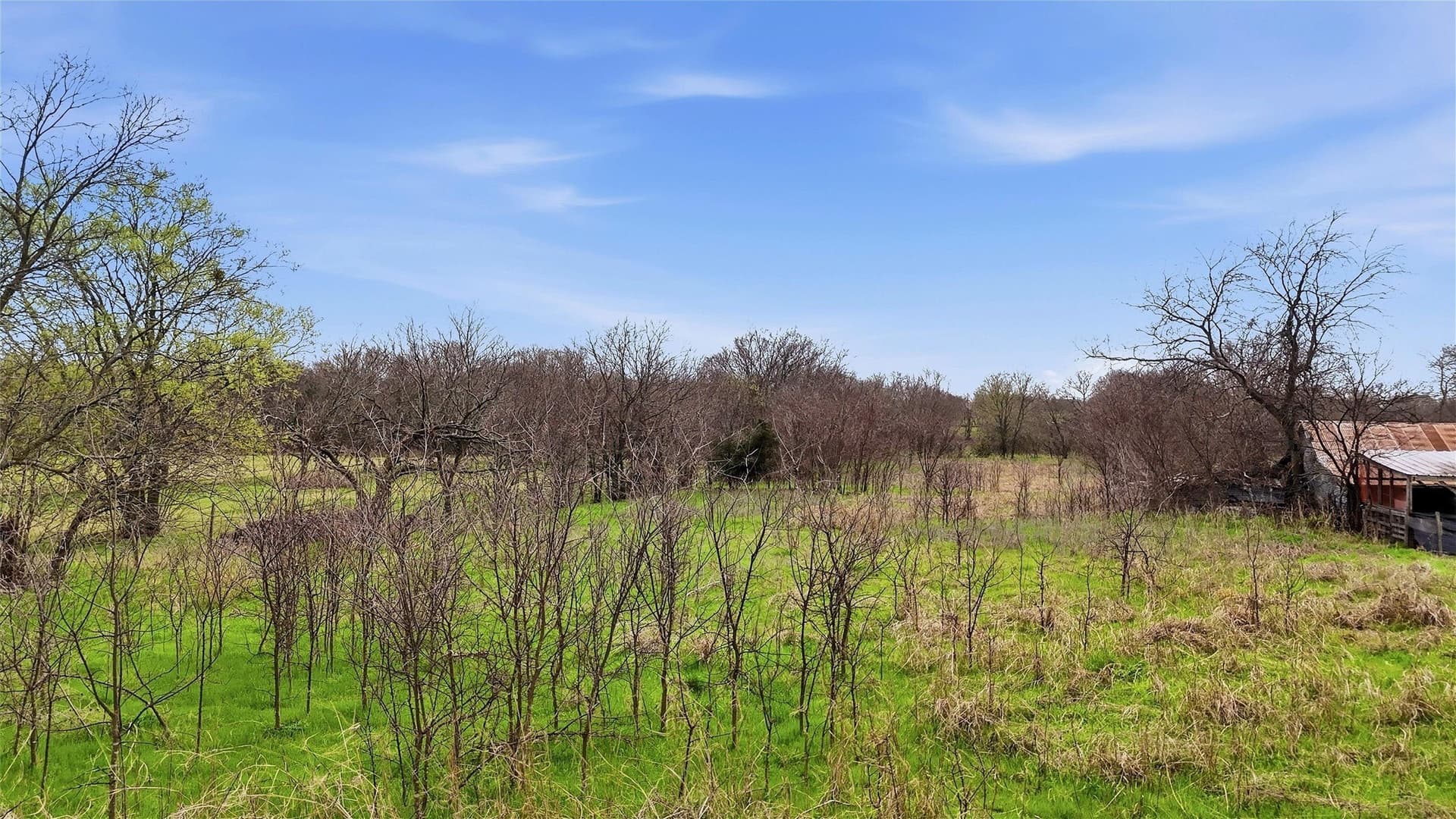 1.7 acres in Grayson County - photo 8