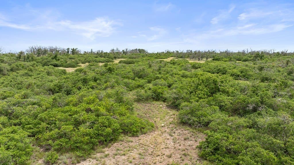 219.46 acres in Gillespie County - photo 15
