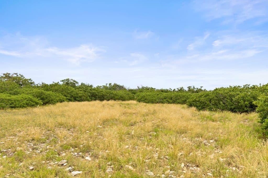 219.46 acres in Gillespie County - photo 67