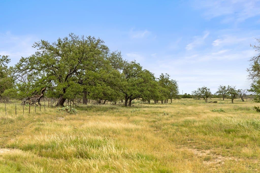 219.46 acres in Gillespie County - photo 61