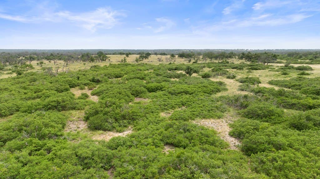 219.46 acres in Gillespie County - photo 12