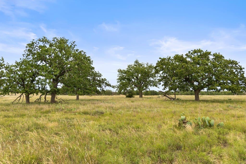 219.46 acres in Gillespie County - photo 34