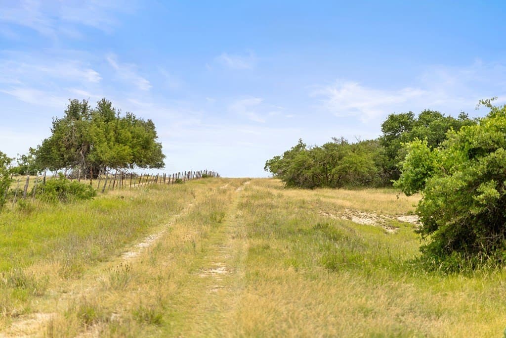 219.46 acres in Gillespie County - photo 68