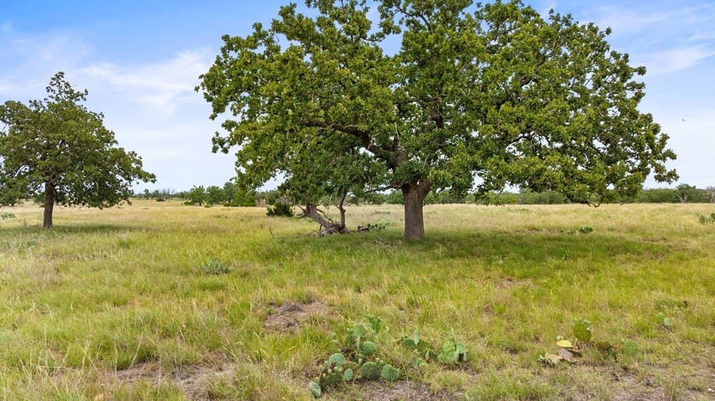 219.46 acres in Gillespie County - photo 54