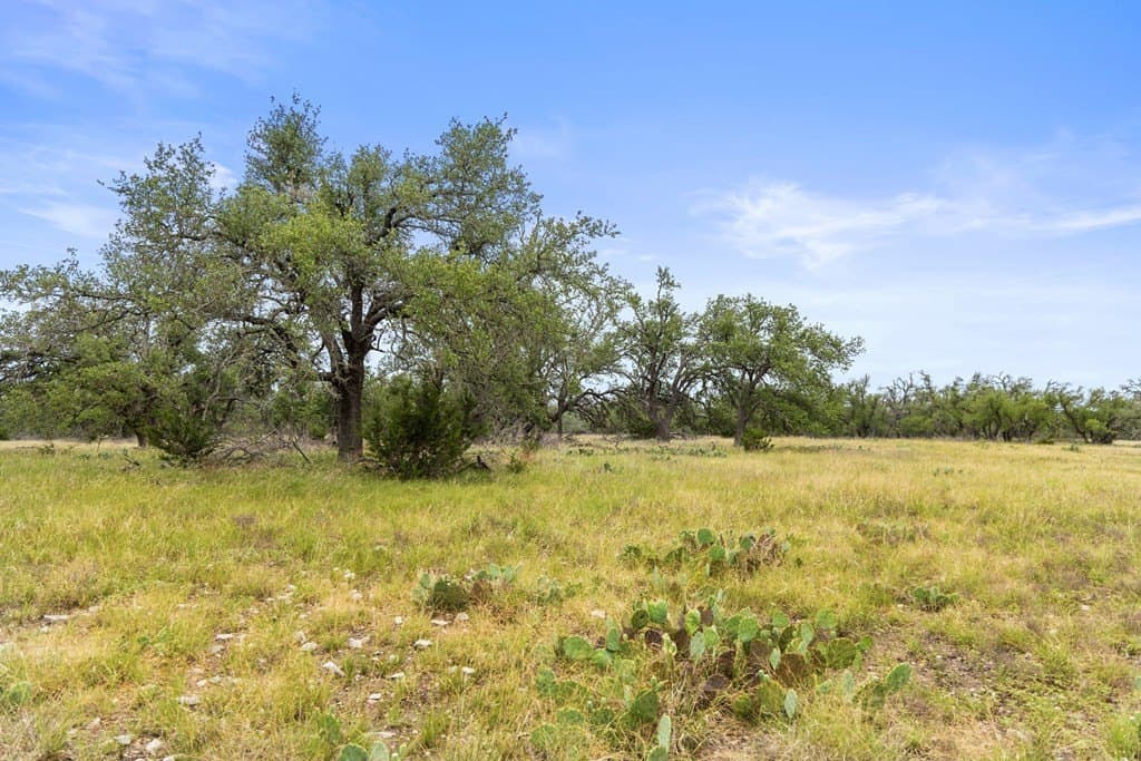 219.46 acres in Gillespie County - photo 24
