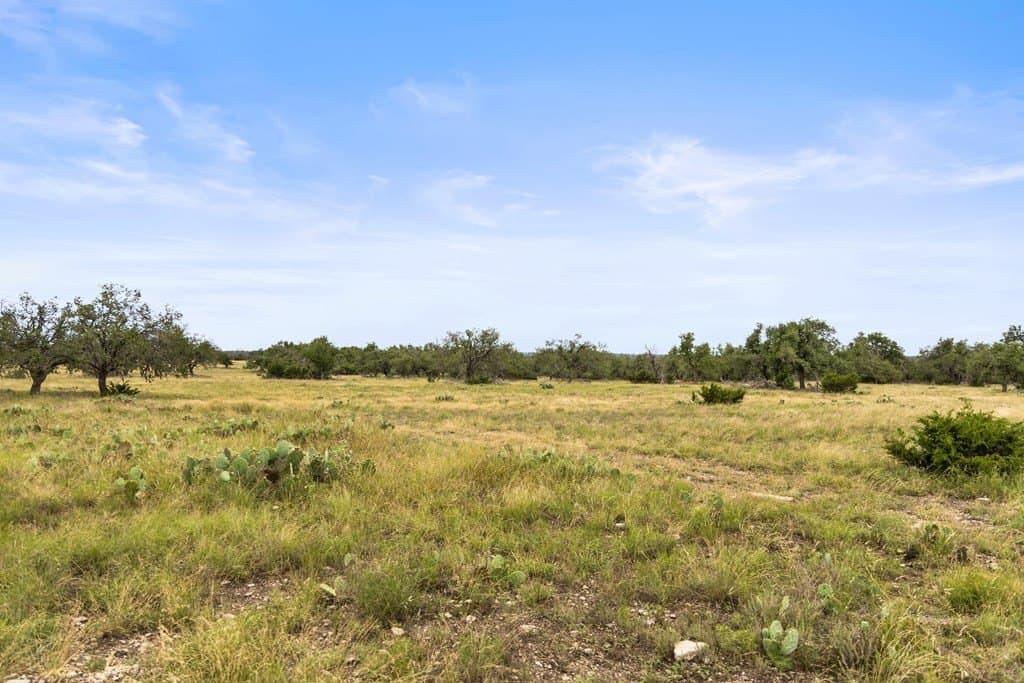 219.46 acres in Gillespie County - photo 32