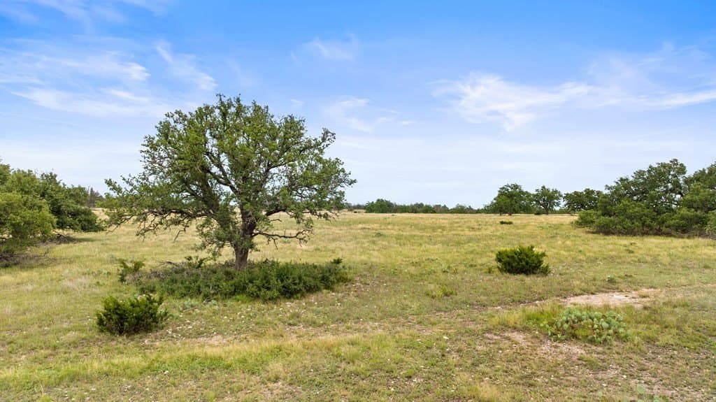219.46 acres in Gillespie County - photo 49