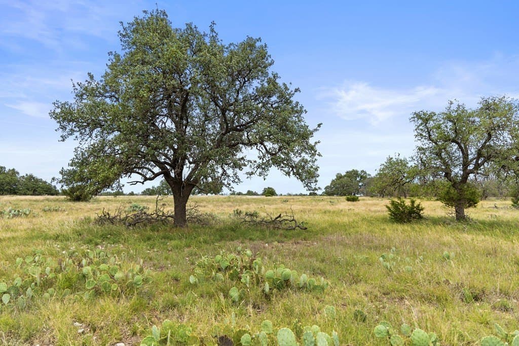 219.46 acres in Gillespie County - photo 30