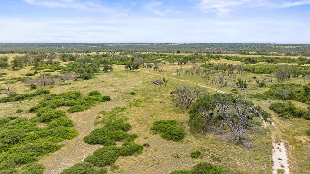 219.46 acres in Gillespie County - photo 55
