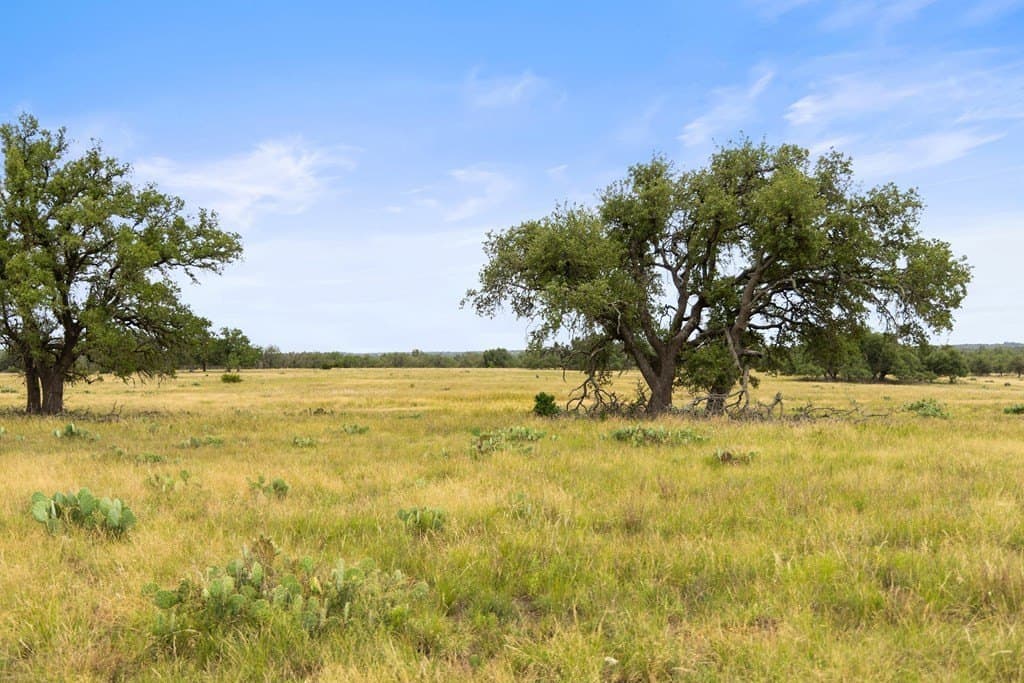 219.46 acres in Gillespie County - photo 40