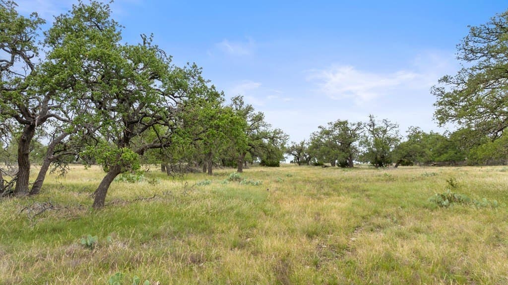 219.46 acres in Gillespie County - photo 42