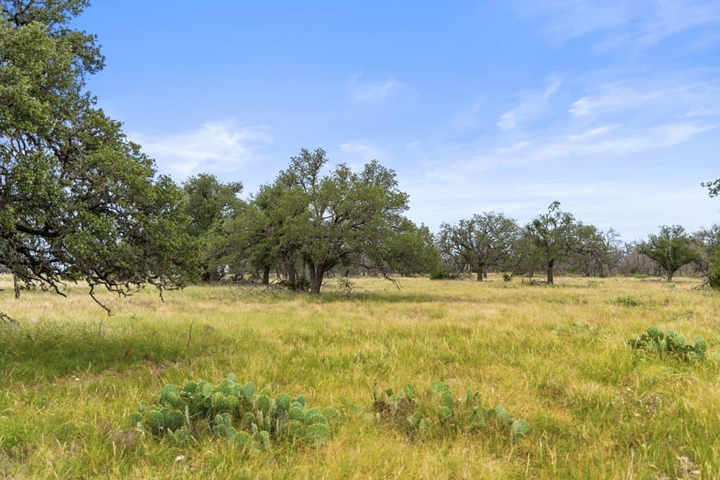 219.46 acres in Gillespie County - photo 23
