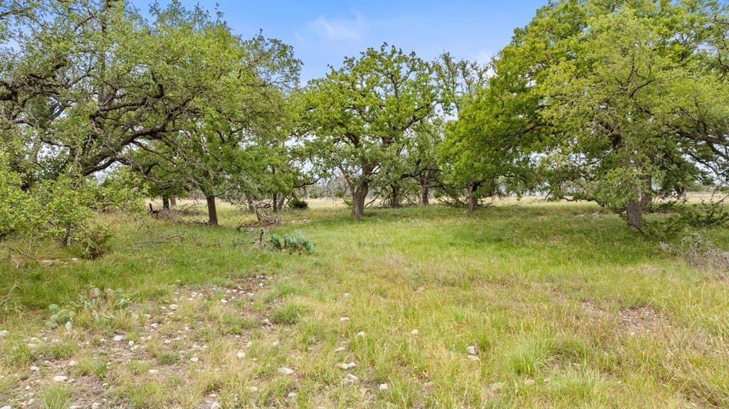 219.46 acres in Gillespie County - photo 52