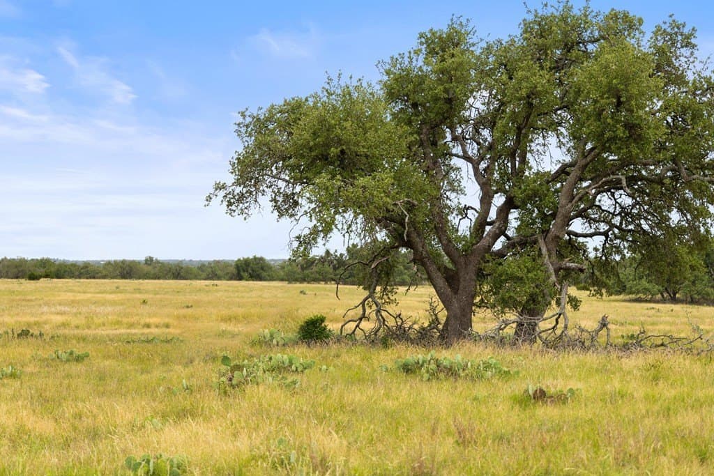219.46 acres in Gillespie County - photo 56