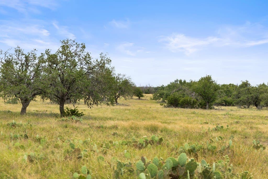 219.46 acres in Gillespie County - photo 33