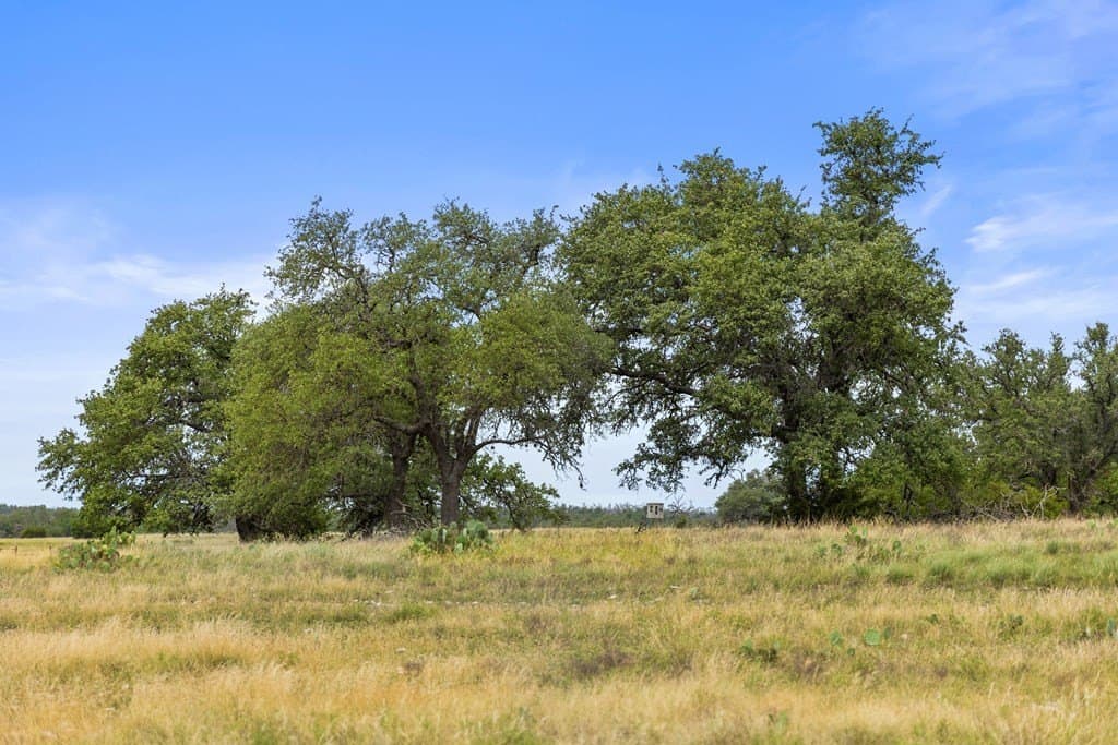 219.46 acres in Gillespie County - photo 29