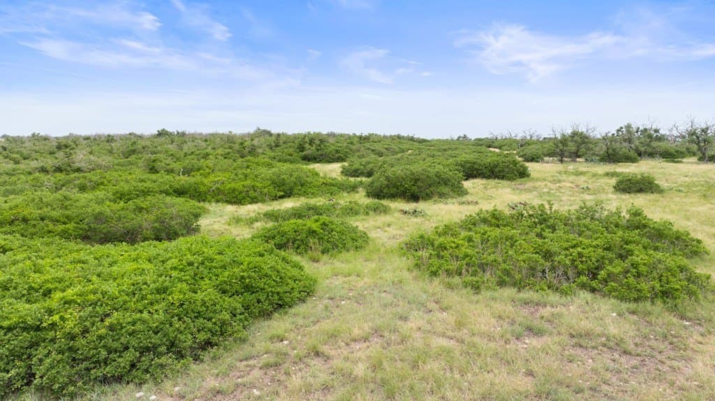 219.46 acres in Gillespie County - photo 11
